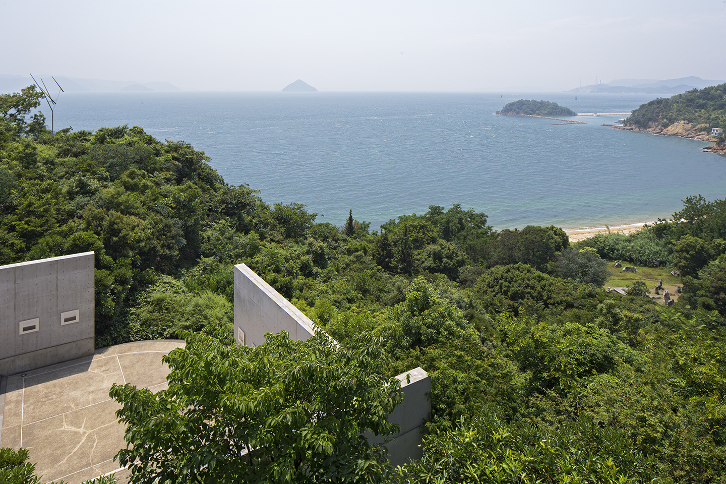 ando-2.jpg